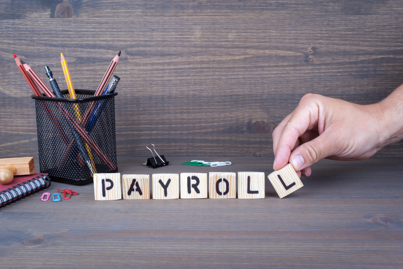 servizio payroll