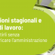 Assunzioni amministrazione personale buste paga