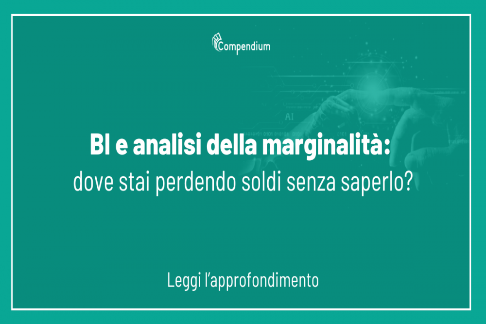 Business Intelligence e controllo di gestione